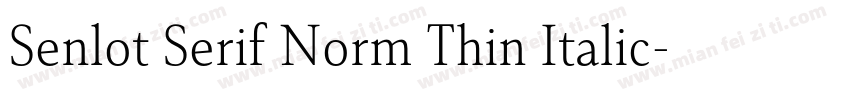 Senlot Serif Norm Thin Italic字体转换